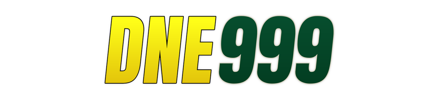 dne999 Logo